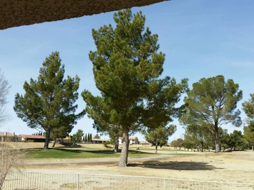 14920 Fireside Ln, Helendale CA  92342-7773 exterior