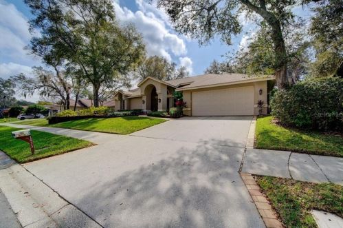 1433 Mallard Pl, Palm Harbor, FL 34683-6431