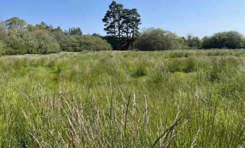 3009 Bloomfield Rd, Sebastopol, CA 95472-5802