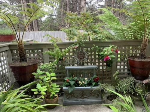 40 Erin Ln, Princeton By The Sea, CA 94019-1776