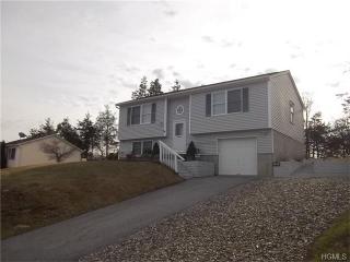32 Nicole Ln, Wingdale, NY 12594-1343