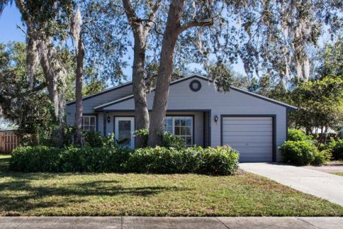1729 Valley Forge Dr, Titusville, FL 32796-1589