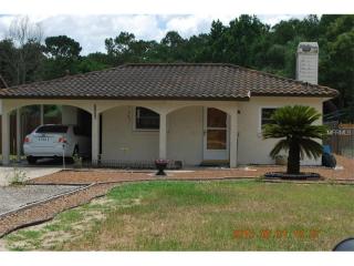 31050 Oakmont Ave, Mount Plymouth, FL 32776-8719