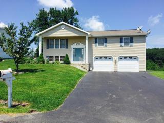 145 Woodring Rd, Drums, PA 18222-1856