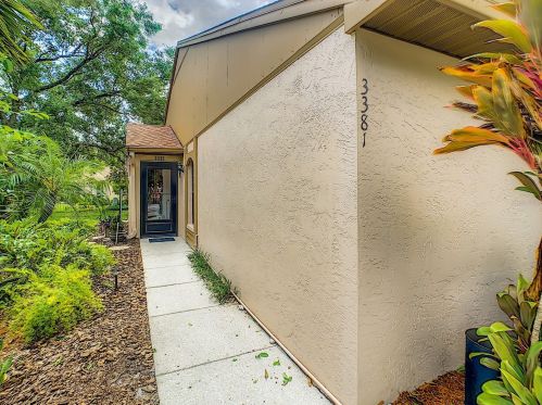 3381 Dunemoor Ct, Palm Harbor, FL 34685-1102