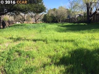 420 Morello Ave, Pacheco CA  94553-4138 exterior