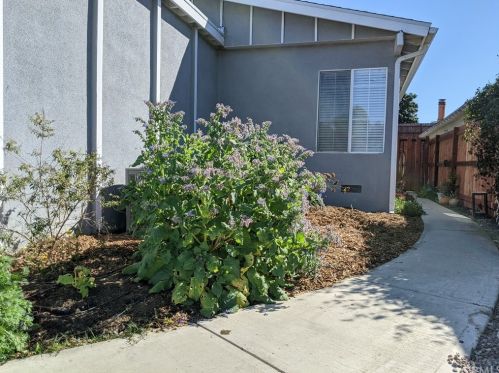 1526 212th St, Torrance, CA 90501-2901