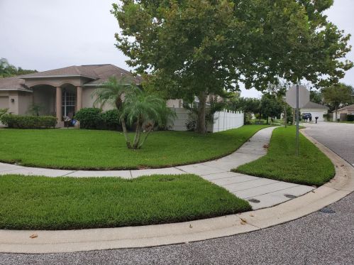 716 Cypress Park Ave, Tarpon Springs, FL 34689-5784