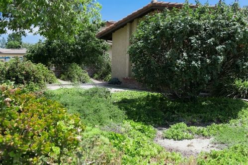 25559 Nicks Ave, Loma Linda CA  92354-3712 exterior