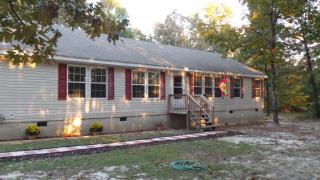 2541 Pine St, Pelion, SC 29123-9004