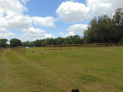 10851 41st Ter, Anthony, FL 32617-3113