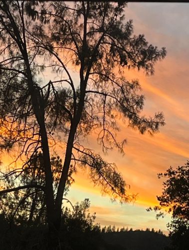 14804 Oak Ridge Rd, Lake Wildwood CA  exterior