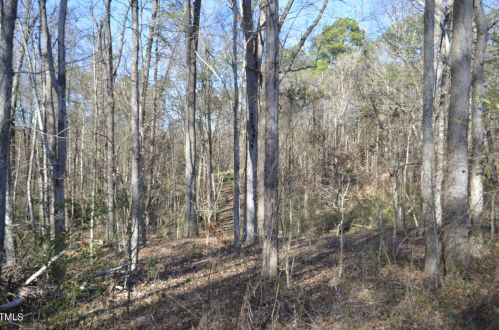 596 Stone St, Haw River NC  27258-8746 exterior