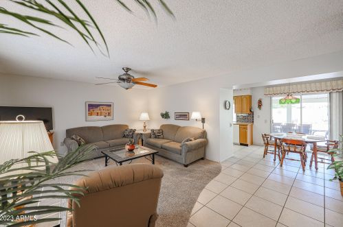 10014 Gulf Hills Dr, Sun City, AZ 85351-1216