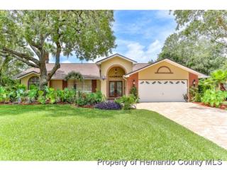 14054 Warm Springs Ct, Port Richey, FL 34667-8439