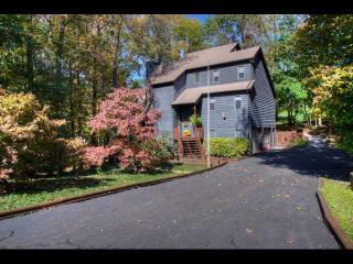 779 Meadow Dr, Thomas Bridge, VA 24354-1656