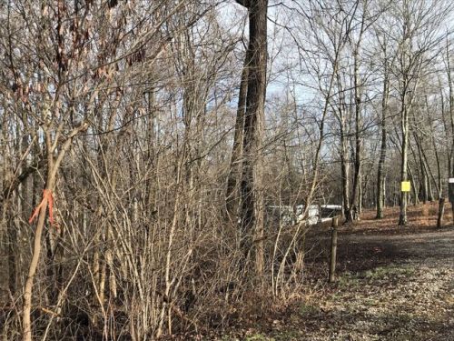 87 Herbert Tennant Rd, Ray, OH 45672-9630
