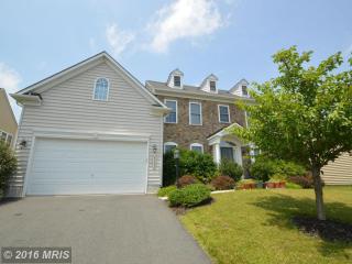 25643 Balint Park Ct, Stone Ridge VA  20105-2547 exterior