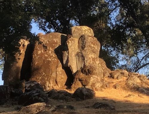 14804 Oak Ridge Rd, Lake Wildwood CA  exterior