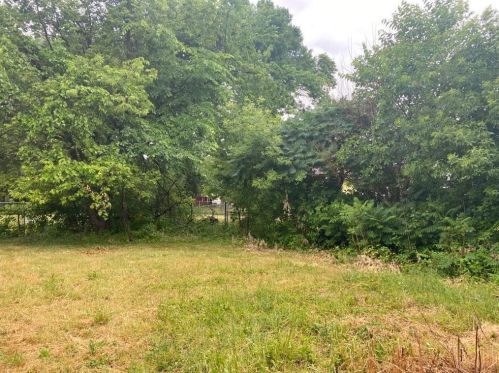 264 Weaver St, Mankato, MN 56001-4663
