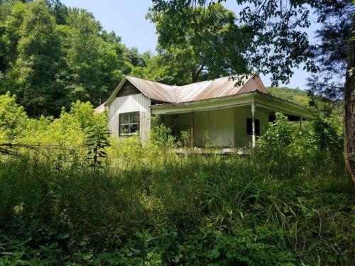 1292 Left Fork Laurel Rd, Wilbur, KY 41124-9085