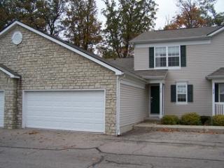 235 Brueghel, Blacklick, OH 43004-8270