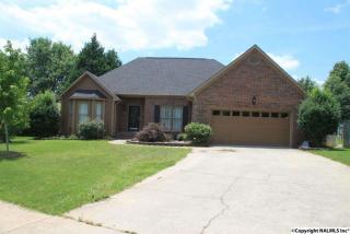 164 Bluebelle Dr, Madison AL  35758-1096 exterior