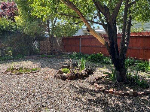 701 Lassen Ave, Chico CA  95973-0743 exterior