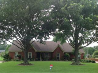 3535 Glyn Carroll Cv, Memphis, TN 38133-3840