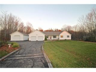 9978 High Country Dr, Concord Township, OH 44024-9500