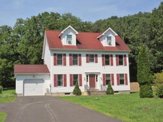1105 Gap View Holw, Stroudsburg, PA 18360-9648