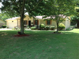 31 Diamond Dr, Mc Kenzie, TN 38201-1609