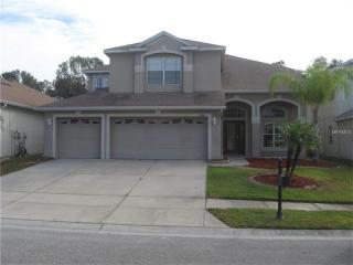 3606 Morgans Bluff Ct, Land O Lakes FL  34639-4966 exterior