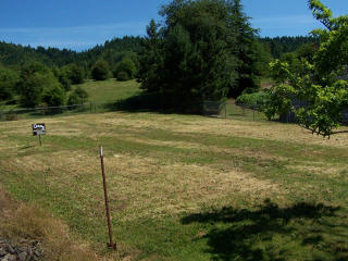 1256 Locust St, Oakland, OR 97462-9627