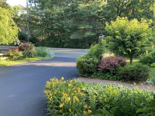 15 Beach St, Foxborough, MA 02035-1131