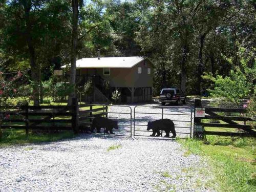 12188 Overstreet Ave, Lamont, FL 32336-6011