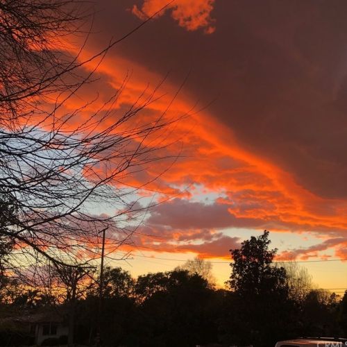 8664 Enramada Ave, Whittier CA 90605-1144 exterior