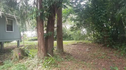 21891 Pineywood Loop, Land O Lakes, FL 34639-3753