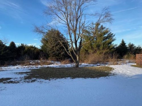 608 Mubarak St, Tomah, WI 54660-1674