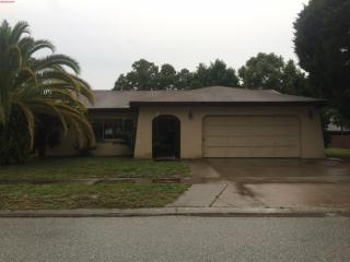 8602 Seeley Ln, Port Richey, FL 34667-6901