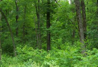 173 Eagle St, Terryville, CT 06786-6106
