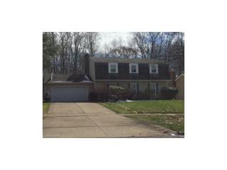 329 Great Oaks Trl, Wadsworth, OH 44281-9427