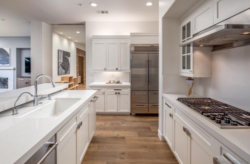 1355 Ravean Ct, Encinitas CA  92024-6204 exterior