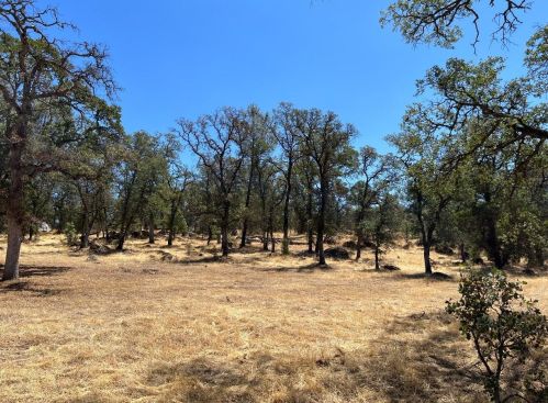 6321 Upper Palermo Rd, Oroville CA  95966-9017 exterior