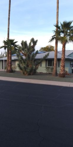 10402 Rodgers Cir, Sun City, AZ 85351-4723