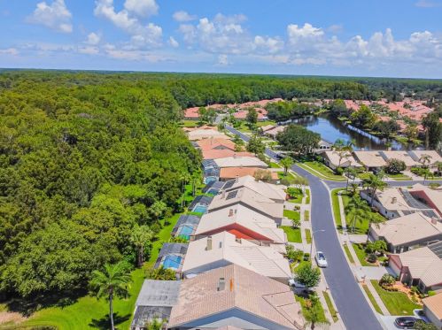 3664 Darston St, Palm Harbor FL  34685-1182 exterior