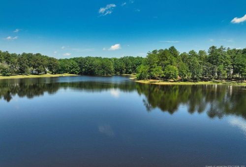 193 Lotus Ln, Sanford, NC 27332-0601