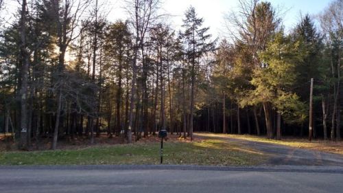 485 Mountain Rd, Loyalsockville, PA 17754-7883