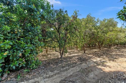 2595 Gibson St, Riverside CA  92503-6329 exterior