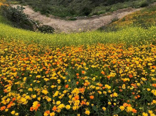 890 Park Pl, El Cajon CA  92021-4300 exterior